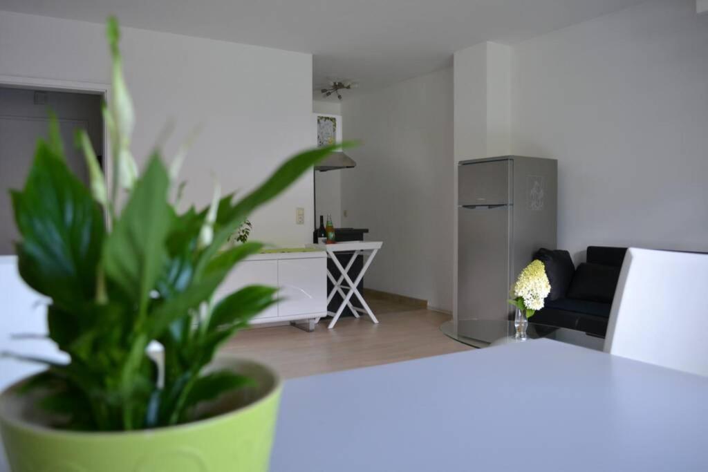 Ferienwohnung Stimmer 그라이나우 외부 사진